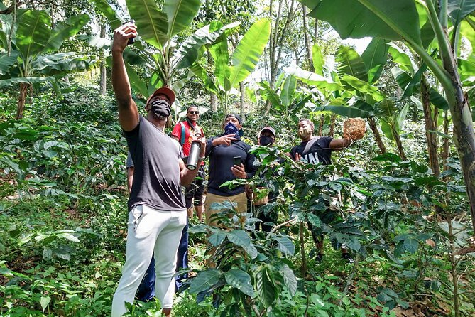 Traditional Bogotá Coffee Tour - Reviews