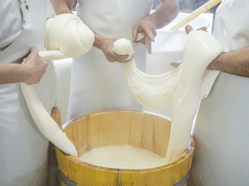 Traditional Cheese Factory Visit with Tasting near Isernia - Exploring the Cheese-Making Process