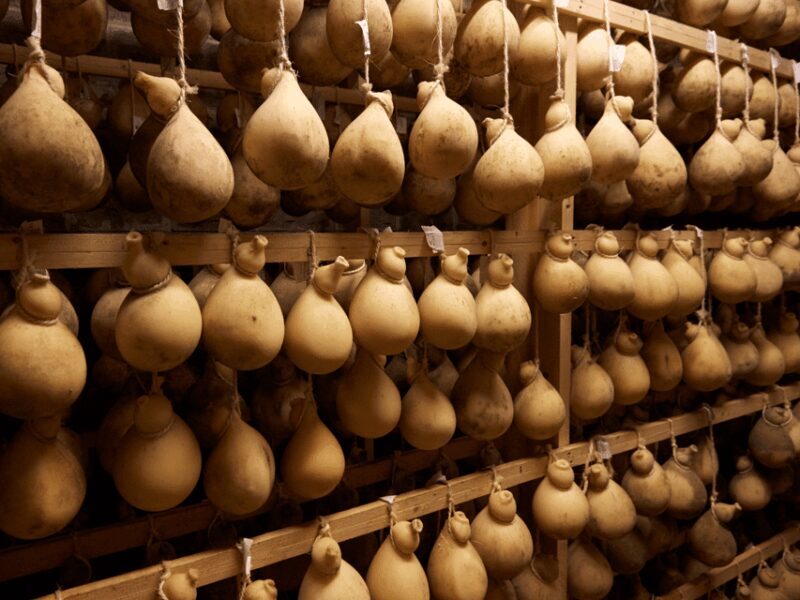 Traditional Cheese Factory Visit with Tasting near Isernia - The Tasting Experience