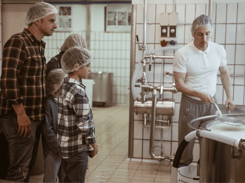 Traditional Cheese Factory Visit with Tasting near Isernia - The Sum Up