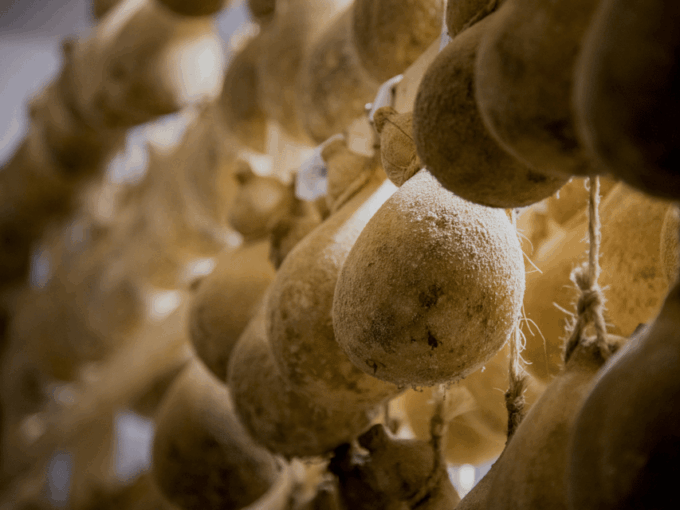 Traditional Cheese Factory Visit With Tasting Near Isernia - Frequently Asked Questions