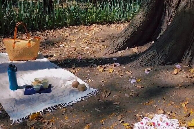 Traditional Chinese Tea Ceremony in the Heart of Mexico City - What to Expect from the Tea Ceremony Experience