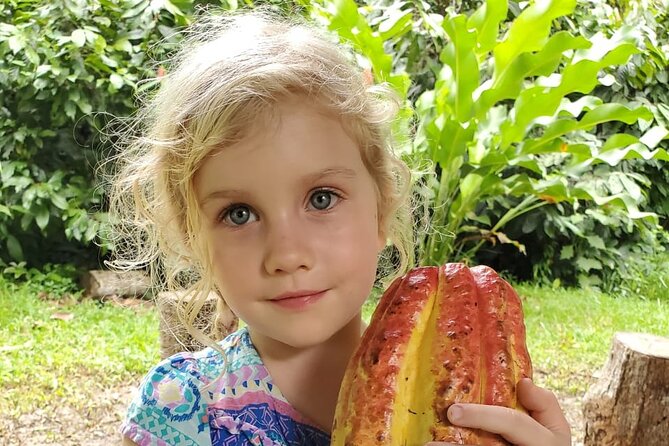 Traditional Chocolate Making in Belize - Good To Know