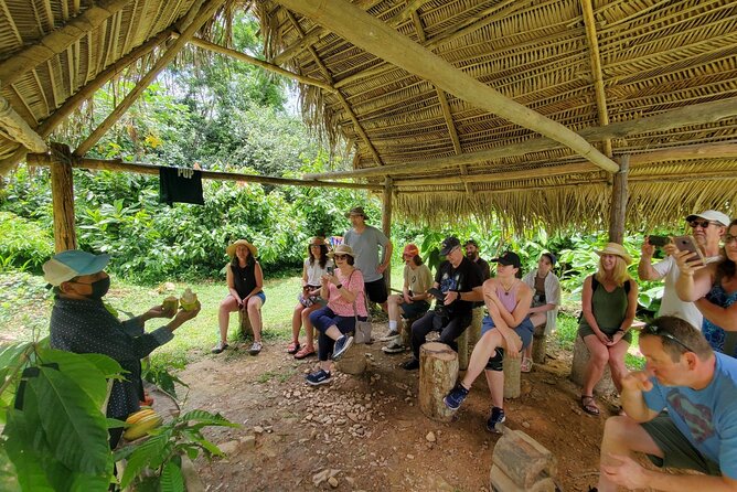 Traditional Chocolate Making in Belize - A Hands-on Cacao Bean Journey