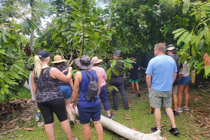 Traditional Chocolate Making in Belize - Flavor Notes From the Tropics