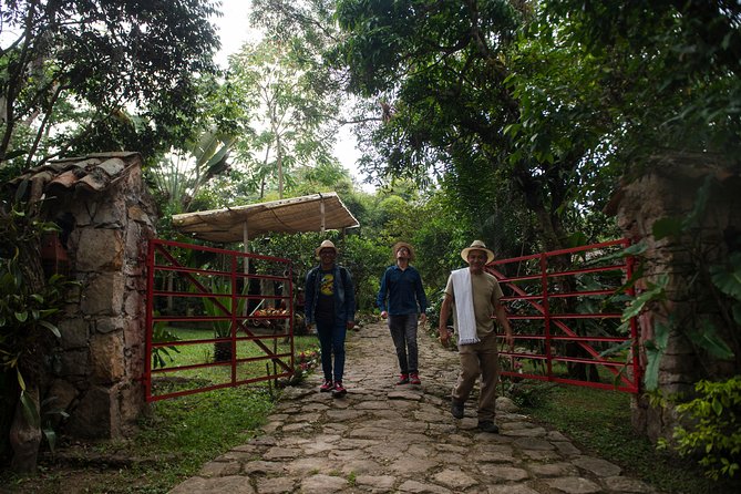 Traditional Coffee Farm Experience at Hacienda Coloma From Bogotá - Transportation Details