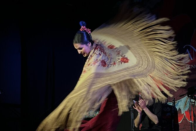 Traditional Flamenco Show at Tablao Casa Ana - Accessibility and Transportation