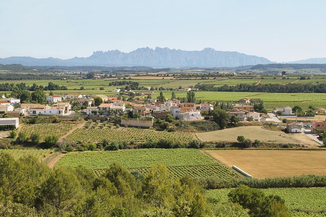 Traditional Food and Wine Small Group Tour From Barcelona - Cancellation Policy