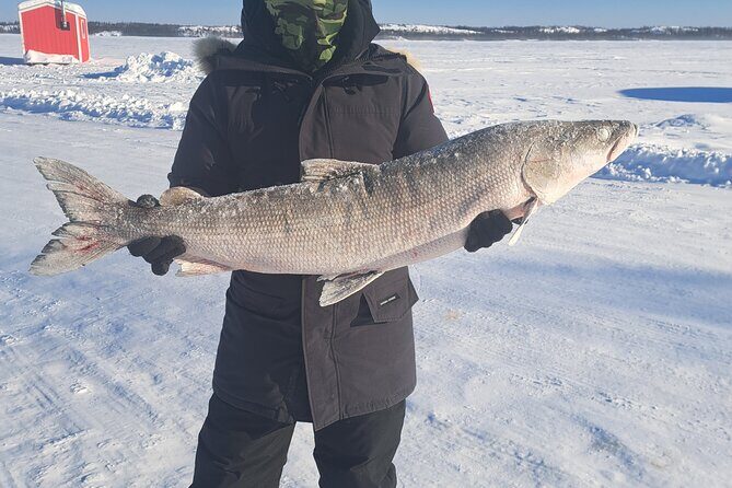 Traditional Ice Fishing with Net Pull and Lunch - Why This Tour Offers Great Value