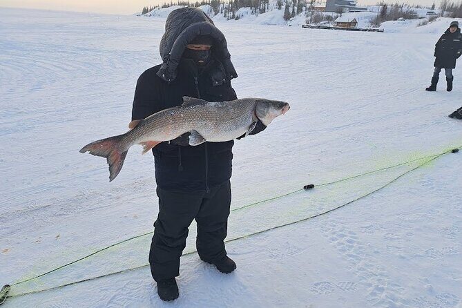 Traditional Ice Fishing with Net Pull and Lunch - Who Should Consider This Tour?