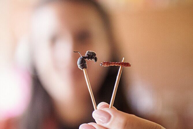 Traditional Oaxacan Cooking Class - Final Touches: Sweet and Savory Endings