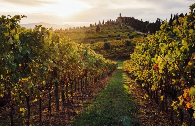 Traditional Tuscan Cooking Class in a Winery from Florence - Who Should Book This Experience?