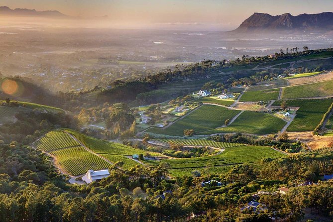 Traditional Wine & Braai (BBQ) Experience - Accessibility and Age Requirements