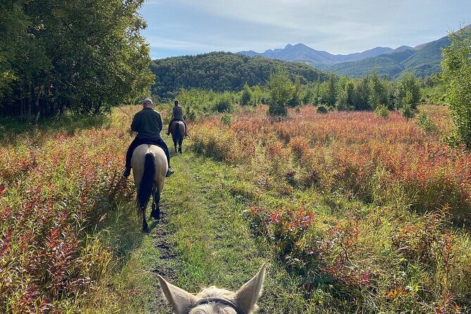 Trail Ride and Zipline Adventure Combo - Final Thoughts: Who Will Love This Tour