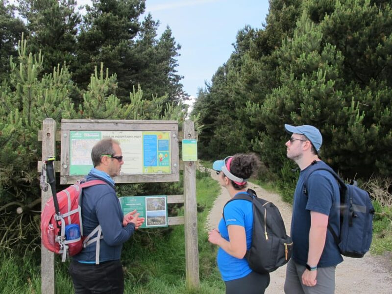 Trails and Tombs of the Dublin Mountains Trek - Detailed Itinerary