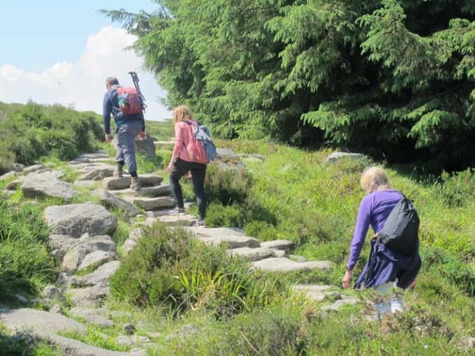Trails and Tombs of the Dublin Mountains Trek - Scenic Attractions