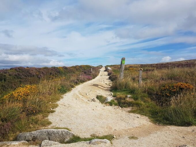 Trails and Tombs of the Dublin Mountains Trek - Safety and Health Guidelines