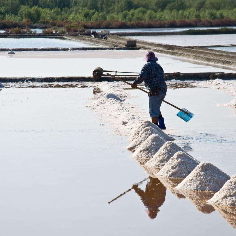 Train Market, Floating Market, and Salt Lake Tour by Driver - Traditional Salt Making at Salt Lake