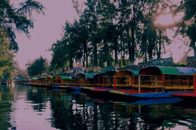 Trajinera Party at Xochimilco with Drinks, Mariachi & Tacos - The Sum Up