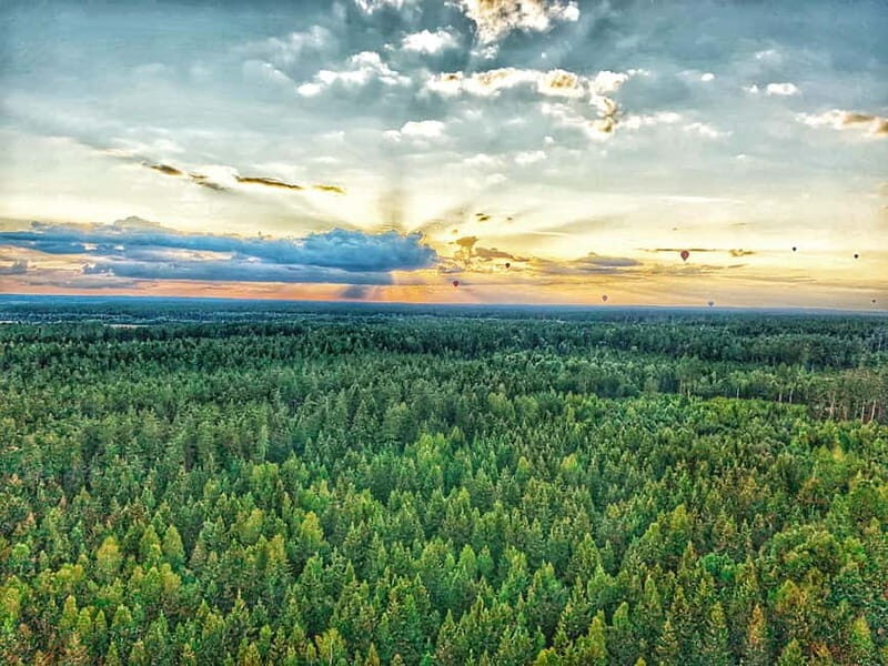 Trakai Hot Air Balloon Flight - What to Expect from the Trakai Hot Air Balloon Experience