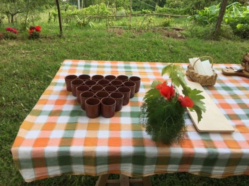 Tramonti: Re Fiascone Experience 1-Hour Food & Wine Tasting - Historical Insights