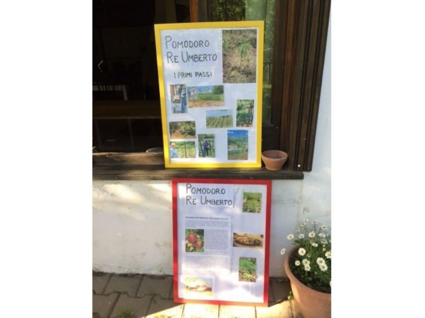 Tramonti: Re Fiascone Experience 1-Hour Food & Wine Tasting - Logistics and Meeting Point