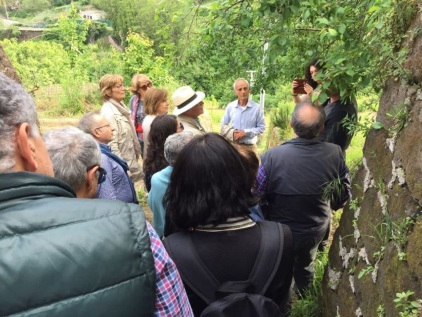 Tramonti: Re Fiascone Experience 1-Hour Food & Wine Tasting - Frequently Asked Questions