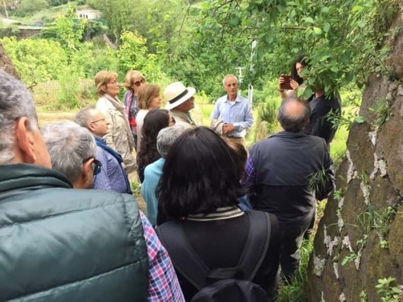 Tramonti: "Re Fiascone" Tomato Tasting - FAQ  
