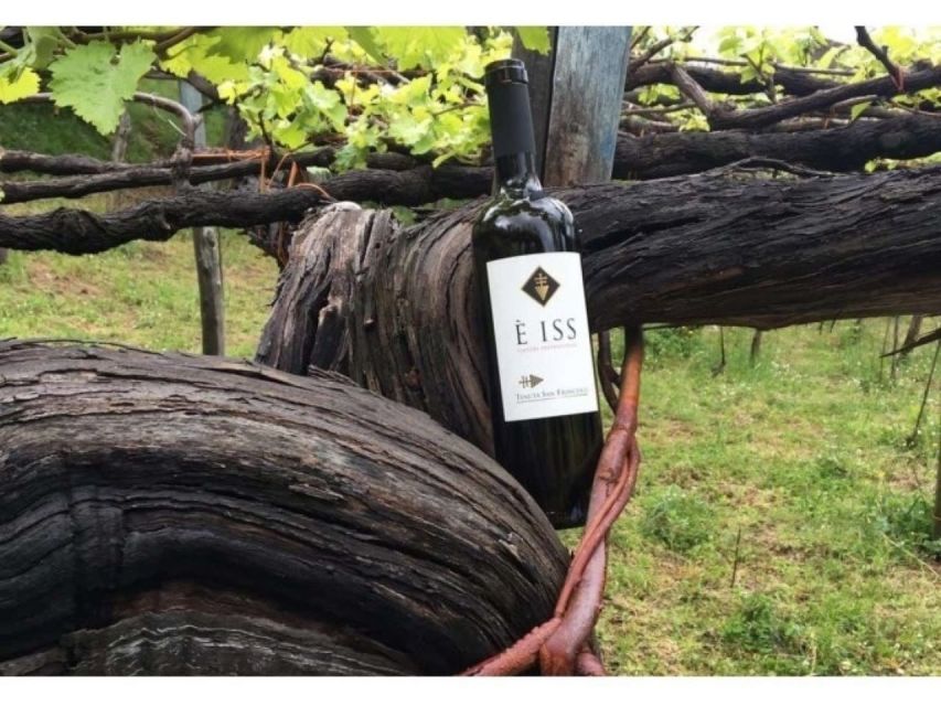 Tramonti: Tenuta San Francesco Wine Tasting - Food Pairing Options