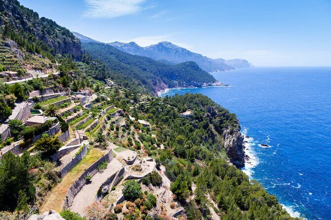Tramuntana Private Tour & Majorcan Wine Tasting - FAQs