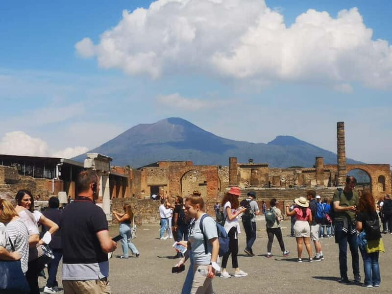 TRAMVIA -Da Naples: Pompei Ruins and Vesuvio Transfer by Bus - Price and Value Analysis