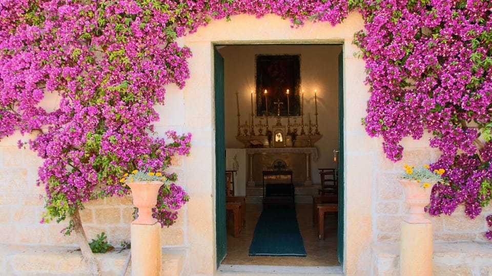 Trani Wine Tours: Flavors of Puglia - Ask Away
