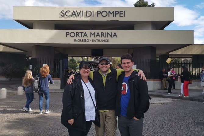 Transfer Fiumicino FCO Airport To/From Sorrento Optional Pompeii Stop - Vehicle and Driver Details
