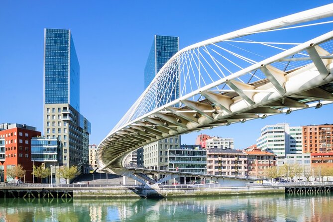 Transfer From Bilbao City Center to Bilbao Airport (Bio) - Additional Information