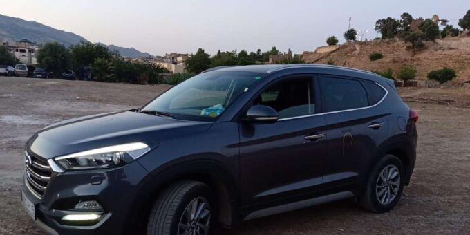 Transfer From Fes to Tangier via Volubilis and Chefchaouen - Customer Experiences and Feedback