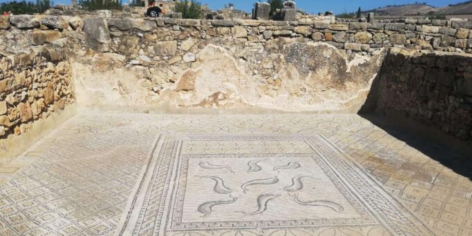 Transfer From Fes to Tangier via Volubilis and Chefchaouen - Booking and Reservation Information