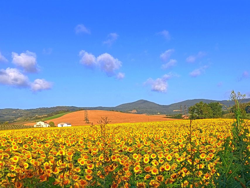 Transfer From Florence to Siena With Stop in San Gimignano - Monteriggioni Castle