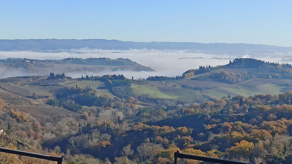 Transfer From Florence to Siena With Stop in San Gimignano - Included Services