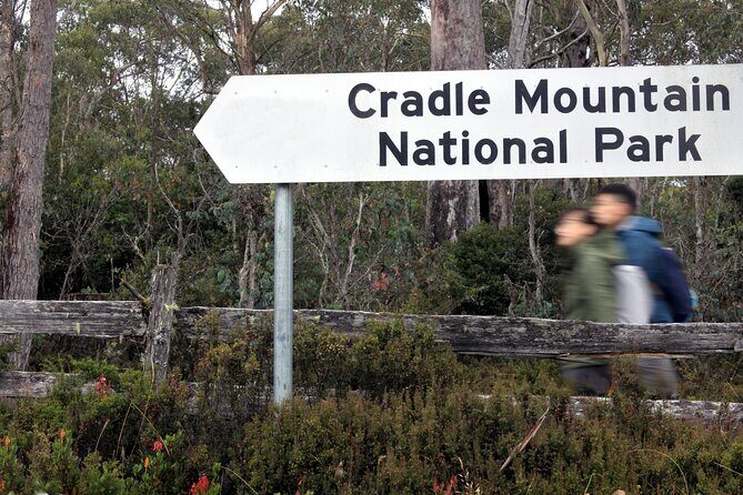 Transfer from Launceston to Cradle Mountain - The Itinerary: What to Expect