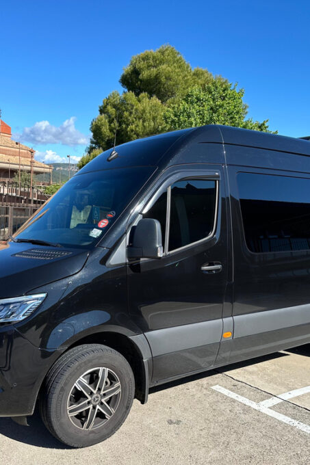 Transfer From Lourdes to Zaragoza - Driver Support and Assistance