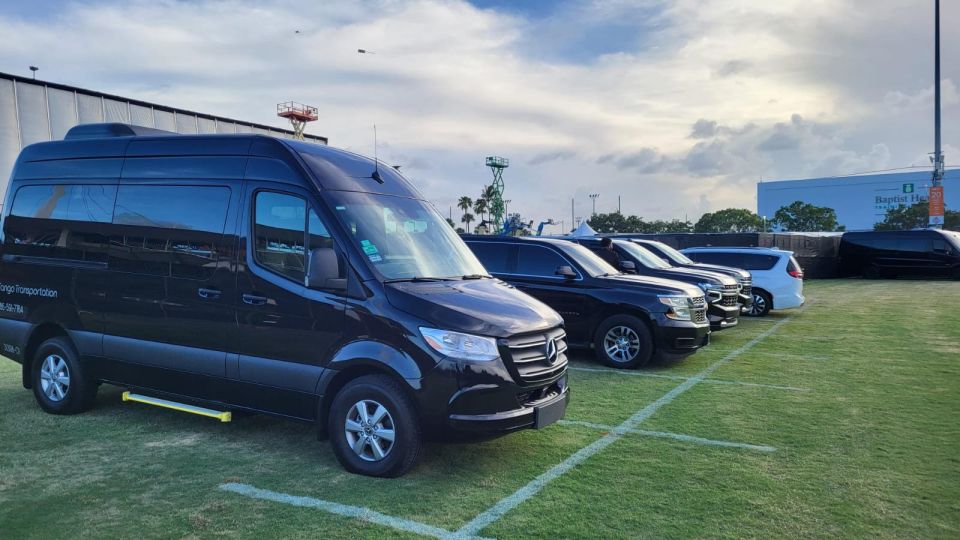 Transfer From Miami Airport to Miami Hotel or Miami Port - Chauffeur Assistance With Luggage
