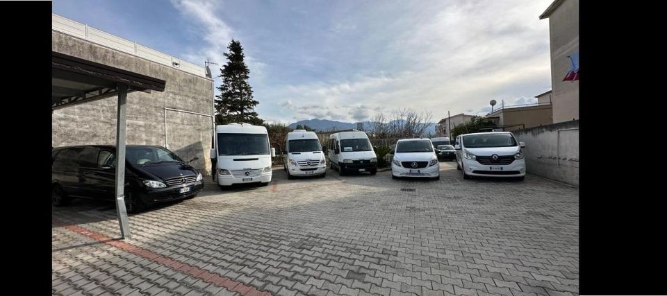 Transfer From Naples Airport to Pompeii - Reservation Process