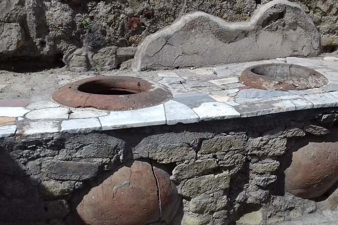 Transfer From Naples Train Station/Area to Sorrento 2hr Stop in Herculaneum - Included Services and Amenities