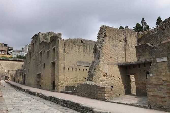 Transfer From Naples Train Station/Area to Sorrento 2hr Stop in Herculaneum - Customer Reviews and Ratings