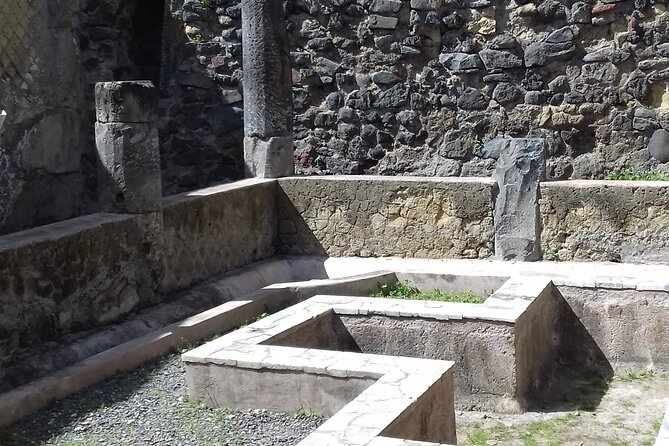 Transfer From Naples Train Station/Area to Sorrento 2hr Stop in Herculaneum - Booking Information and Policies