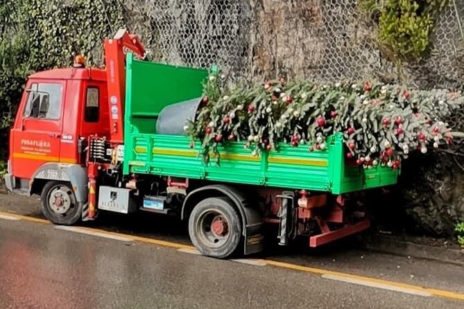 Transfer From Naples Train Station/Area to Sorrento With 1 Hour Stop in Positano - Booking Options Available