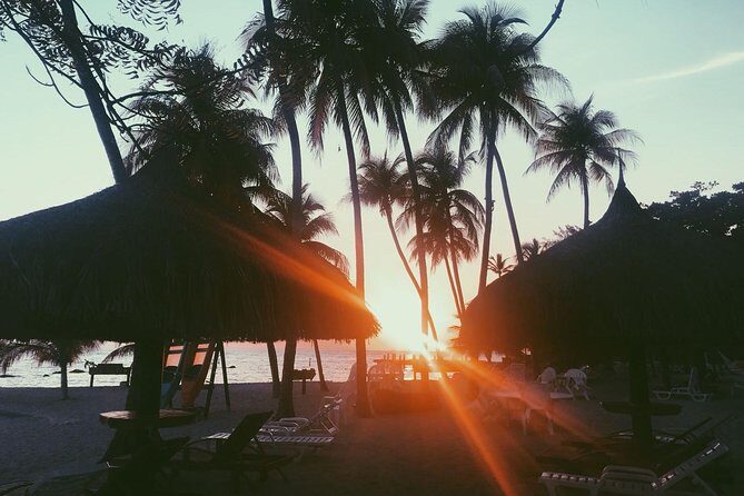 Transfer from Port au Prince international Airport to Hotels in Port au Prince - What to Expect from Your Transfer