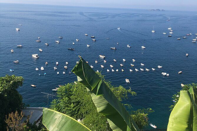 Transfer- from Ravello to Rome & Vice Versa - Detailed Review of the Transfer Service