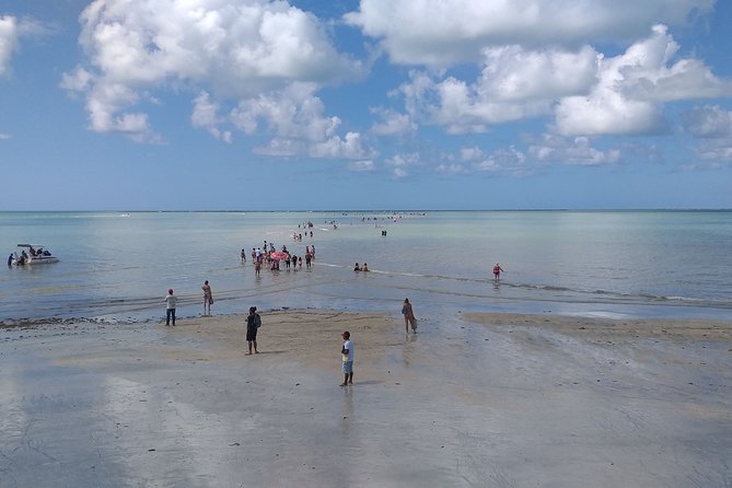 Transfer From Recife Airport to Maragogi/Al for 1 to 4 People - Complimentary WiFi