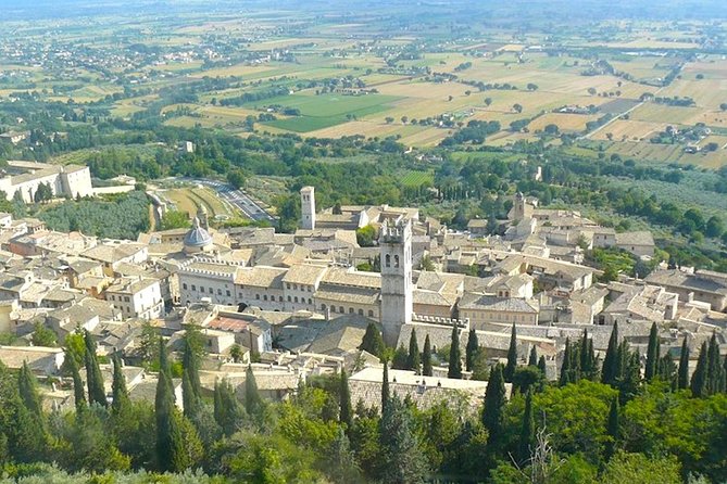Transfer From Rome to Assisi - Pickup and Drop-off Details